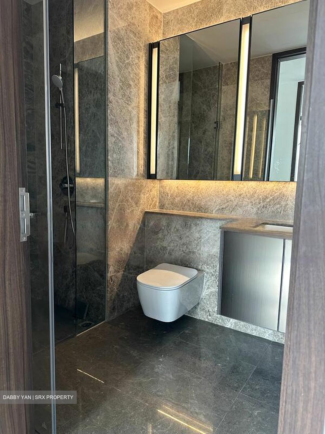 Leedon Green (D10), Condominium #559073941